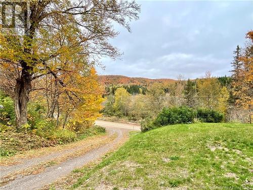 740 Howard Brook Road, Hartland, NB - Outdoor With View