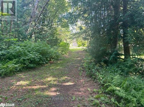 Lot 45 River Road, Kawartha Lakes (Fenelon Falls), ON 