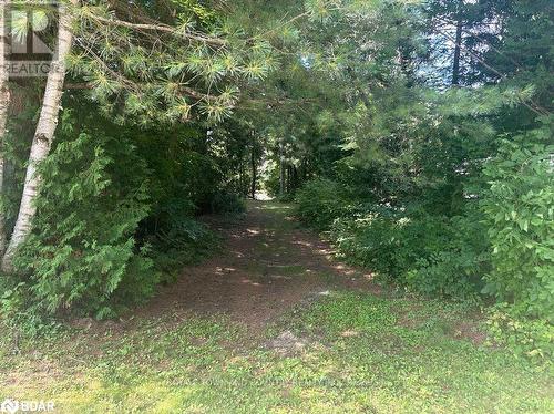 Lot 45 River Road, Kawartha Lakes (Fenelon Falls), ON 