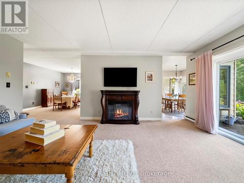 107 - 330 Brewery Lane, Orillia, ON - Indoor Photo Showing Living Room With Fireplace