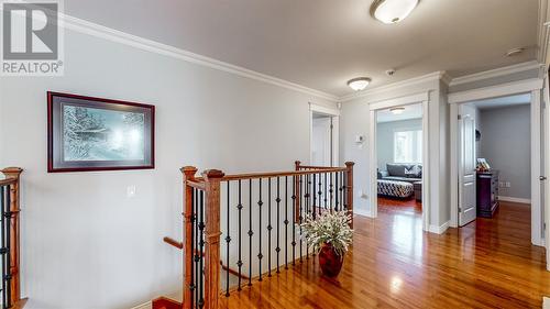 23 Spracklin Boulevard, Paradise, NL - Indoor Photo Showing Other Room