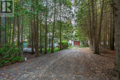 222 Wiles Lane, Grey Highlands, ON - Outdoor