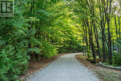 222 Wiles Lane, Grey Highlands, ON - Outdoor