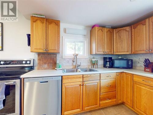 24 Alexandra Avenue, Chatsworth (Twp), ON - Indoor Photo Showing Kitchen With Double Sink