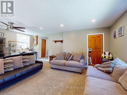 24 Alexandra Avenue, Chatsworth, ON - Indoor Photo Showing Living Room