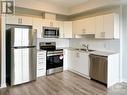 397 Codd'S Drive Unit#603, Ottawa, ON  - Indoor Photo Showing Kitchen With Stainless Steel Kitchen With Double Sink 