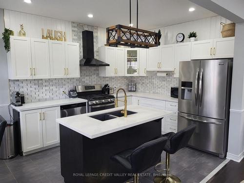 50 Fairgrounds Dr, Hamilton, ON - Indoor Photo Showing Kitchen With Stainless Steel Kitchen With Double Sink With Upgraded Kitchen