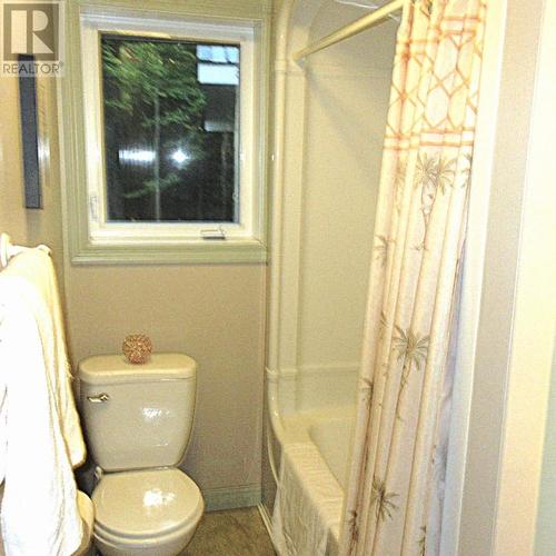 556 Pumpkin Point Rd W, Laird Township, ON - Indoor Photo Showing Bathroom