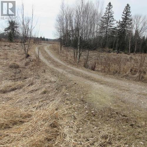 556 Pumpkin Point Rd W, Laird Township, ON - Outdoor With View