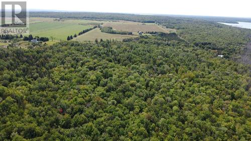 556 Pumpkin Point Rd W, Laird Township, ON - Outdoor With View