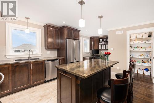 12 River Front Drive, Portugal Cove -St. Philips, NL - Indoor Photo Showing Kitchen With Double Sink