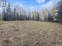 404 Aspen Way, Candle Lake, SK 