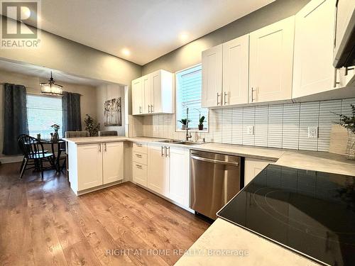 121 Durham Street W, Kawartha Lakes (Lindsay), ON - Indoor Photo Showing Kitchen With Double Sink With Upgraded Kitchen