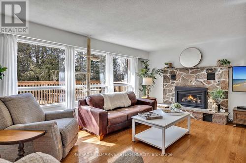 517 Belmont 2Nd Line, Havelock-Belmont-Methuen, ON - Indoor Photo Showing Living Room With Fireplace