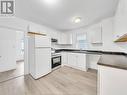 1046 Albert Road, Windsor, ON  - Indoor Photo Showing Kitchen With Double Sink 