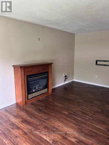 4885 Monck Road, Kawartha Lakes, ON - Indoor Photo Showing Living Room With Fireplace