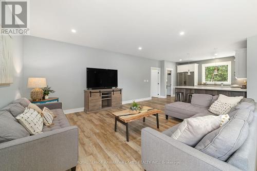 10 King Street, Kawartha Lakes, ON - Indoor Photo Showing Living Room