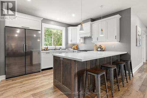 10 King Street, Kawartha Lakes, ON - Indoor Photo Showing Kitchen With Upgraded Kitchen