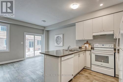 24 Foothills Lane, Hamilton, ON - Indoor Photo Showing Kitchen With Double Sink