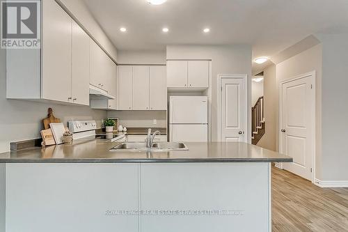 24 Foothills Lane, Hamilton, ON - Indoor Photo Showing Kitchen With Double Sink