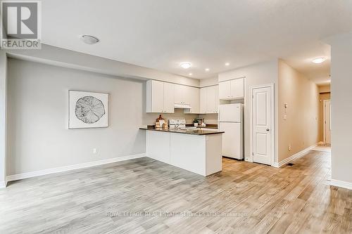 24 Foothills Lane, Hamilton, ON - Indoor Photo Showing Kitchen