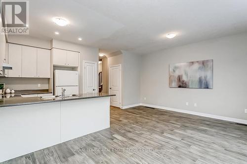 24 Foothills Lane, Hamilton, ON - Indoor Photo Showing Kitchen