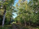 Lot 50 Redbird Dr., Malagawatch, NS 