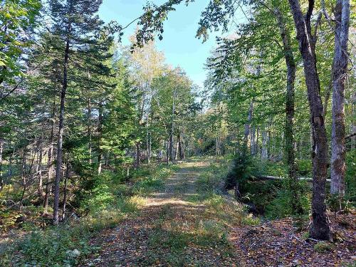 Lot 50 Redbird Dr., Malagawatch, NS 