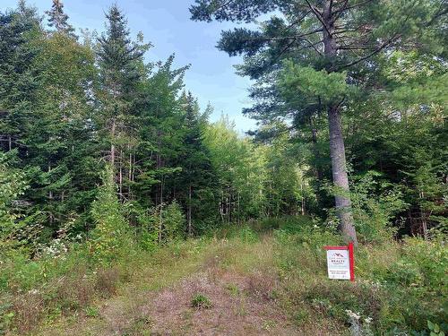 Lot 50 Redbird Dr., Malagawatch, NS 