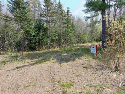 Lot 50 Redbird Dr., Malagawatch, NS 