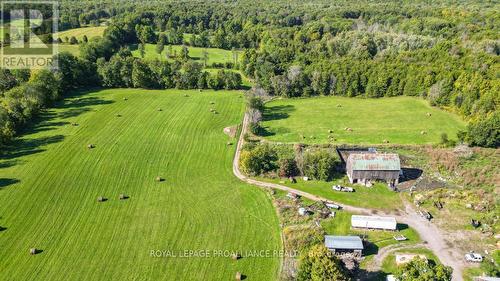 1147 Vanderwater Road, Tweed, ON 