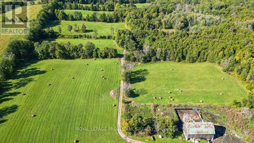 1147 Vanderwater Road, Tweed, ON 