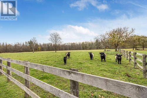 1068 Wyatt Road, Hamilton, ON - Outdoor With View