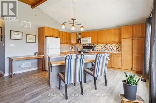 20855 Brunon Avenue, Kawartha Lakes, ON - Indoor Photo Showing Kitchen