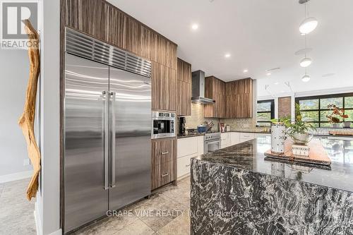 315 Crestview Road, Ottawa, ON - Indoor Photo Showing Kitchen With Upgraded Kitchen