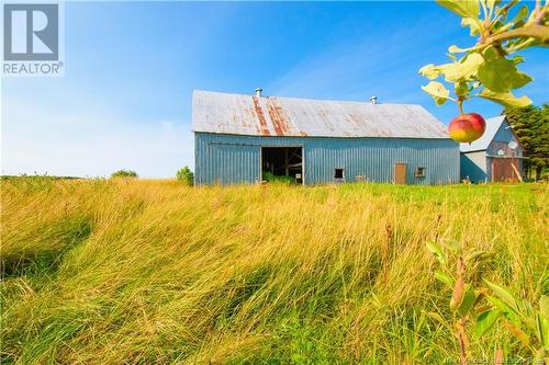 1833 Route 960, Upper Cape, NB - Outdoor