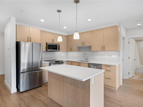 204-135 Haliburton St, Nanaimo, BC - Indoor Photo Showing Kitchen With Upgraded Kitchen