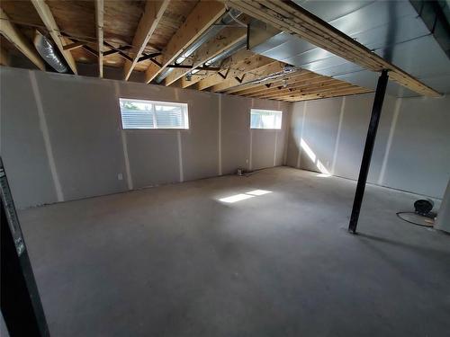 536 St Alphonse Avenue, Ste Anne, MB - Indoor Photo Showing Basement