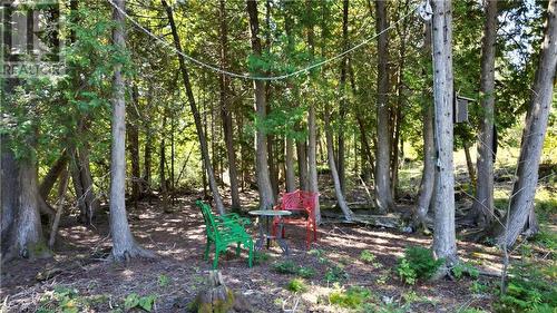 459 Warner Bay Road, Tobermory, ON 