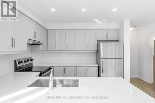 78 Dryden Lane, Hamilton, ON - Indoor Photo Showing Kitchen With Stainless Steel Kitchen With Double Sink