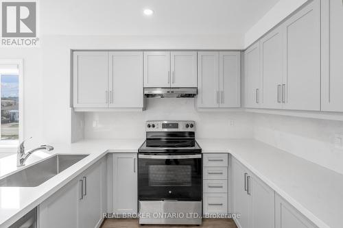 78 Dryden Lane, Hamilton, ON - Indoor Photo Showing Kitchen With Upgraded Kitchen