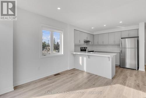 78 Dryden Lane, Hamilton, ON - Indoor Photo Showing Kitchen With Stainless Steel Kitchen