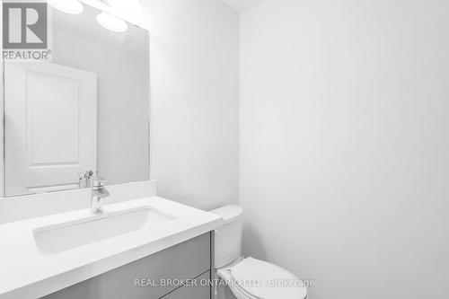 78 Dryden Lane, Hamilton, ON - Indoor Photo Showing Bathroom