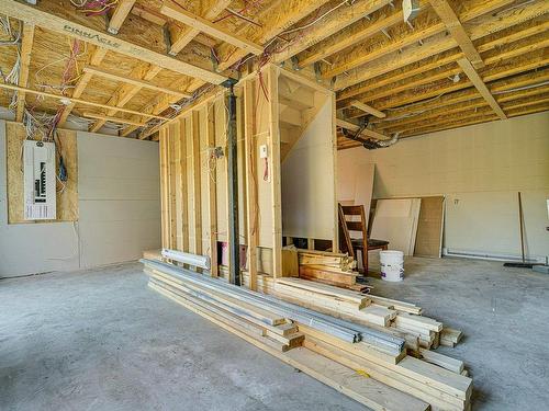 IntÃ©rieur - 3548 Ch. Chalifoux, Saint-Adolphe-D'Howard, QC - Indoor Photo Showing Basement