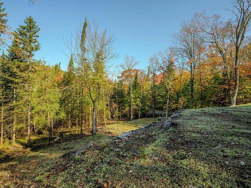 ExtÃ©rieur - 3548 Ch. Chalifoux, Saint-Adolphe-D'Howard, QC - Outdoor With View