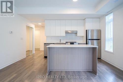 G101 - 100 Canon Jackson Drive, Toronto, ON - Indoor Photo Showing Kitchen With Upgraded Kitchen