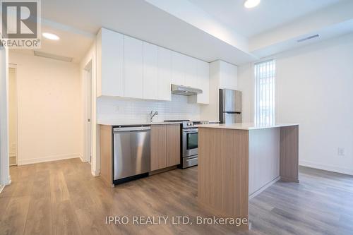 G101 - 100 Canon Jackson Drive, Toronto, ON - Indoor Photo Showing Kitchen