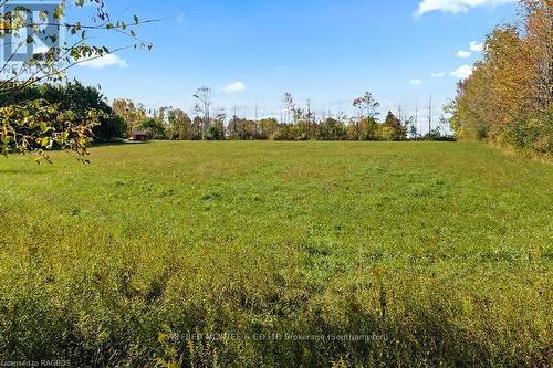 397461 Concession 10, Meaford, ON - Outdoor With View