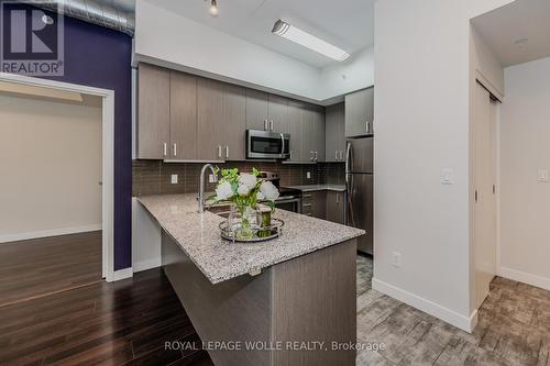 H201 - 62 Balsam Street, Waterloo, ON - Indoor Photo Showing Kitchen With Upgraded Kitchen