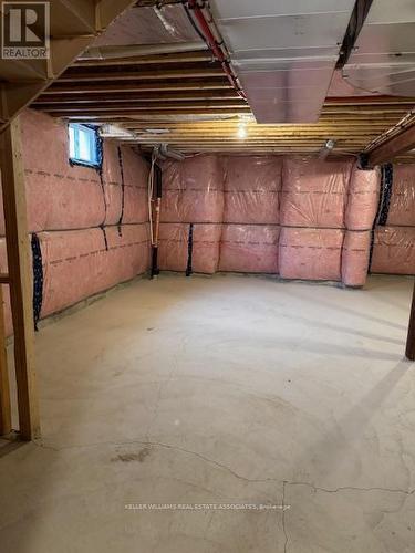 21 Molnar Crescent, Brantford, ON - Indoor Photo Showing Basement